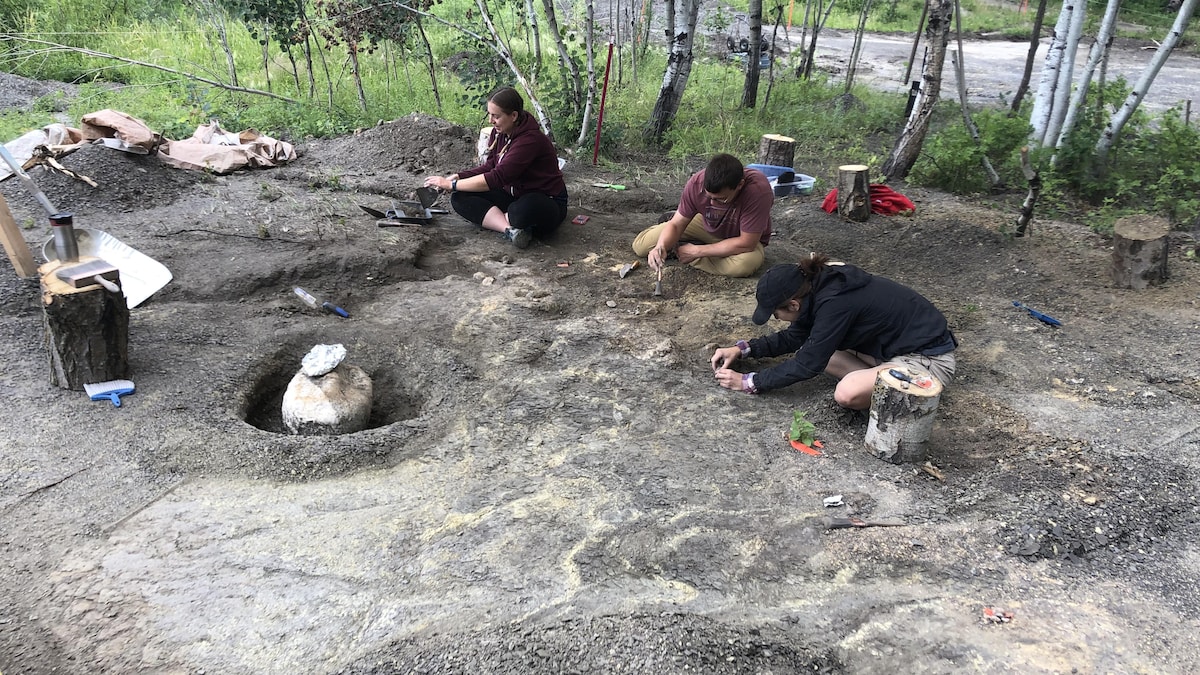 Des archéologues fouillent le sol.