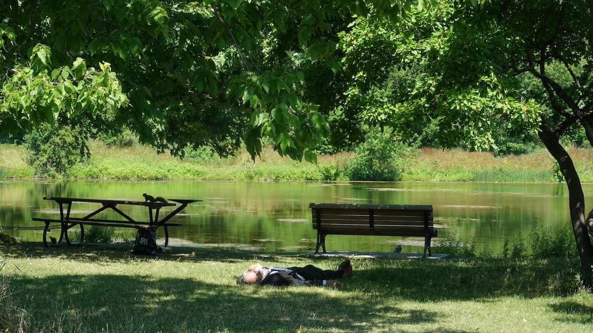 Pourquoi le parc Angrignon a- t-il été laissé à l'abandon ? | Le ...