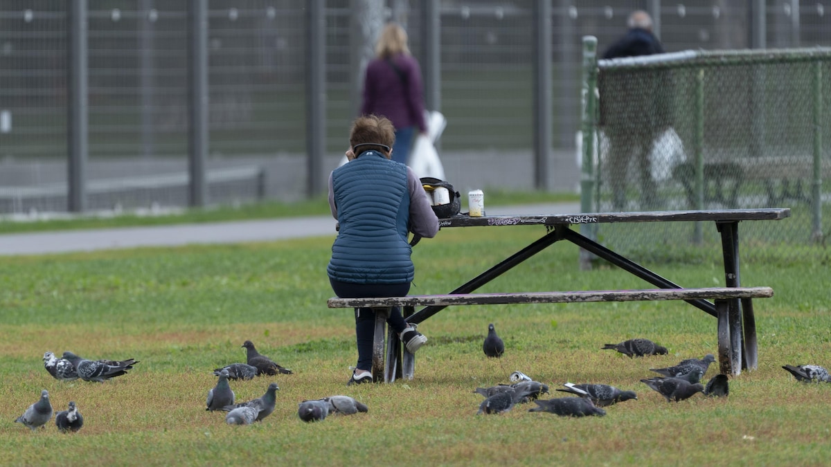 Une femme de dos dans un parc, assise seule à une table à pique-nique avec des pigeons à ses pieds.