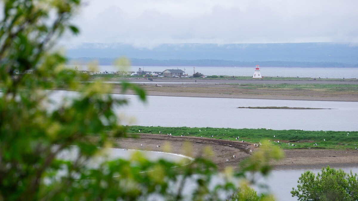 Le paysage touristique avec un phare et une étendue d'eau.