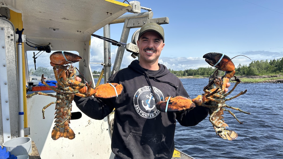 Le homard toujours aussi abondant sur la Côte-Nord