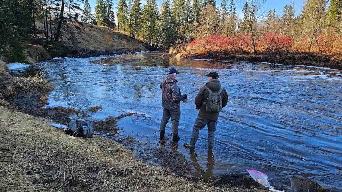 Deux hommes pêchent la truite dans une rivière.
