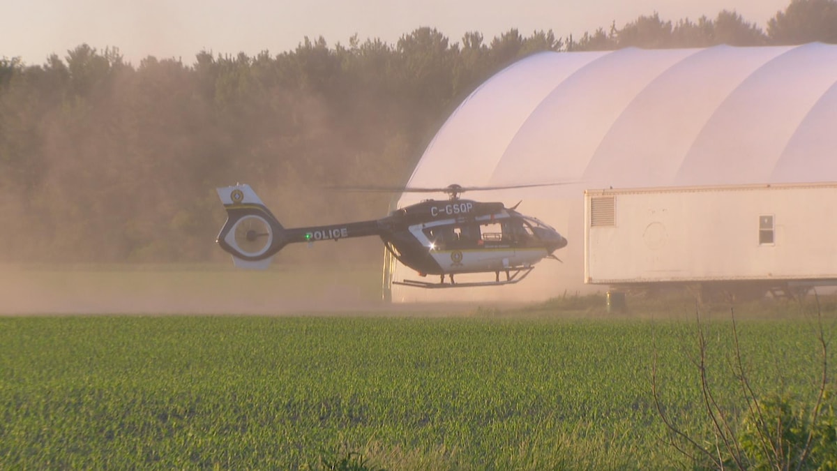 Un hélicoptère de la SQ en plein atterrissage dans un champ en Montérégie.