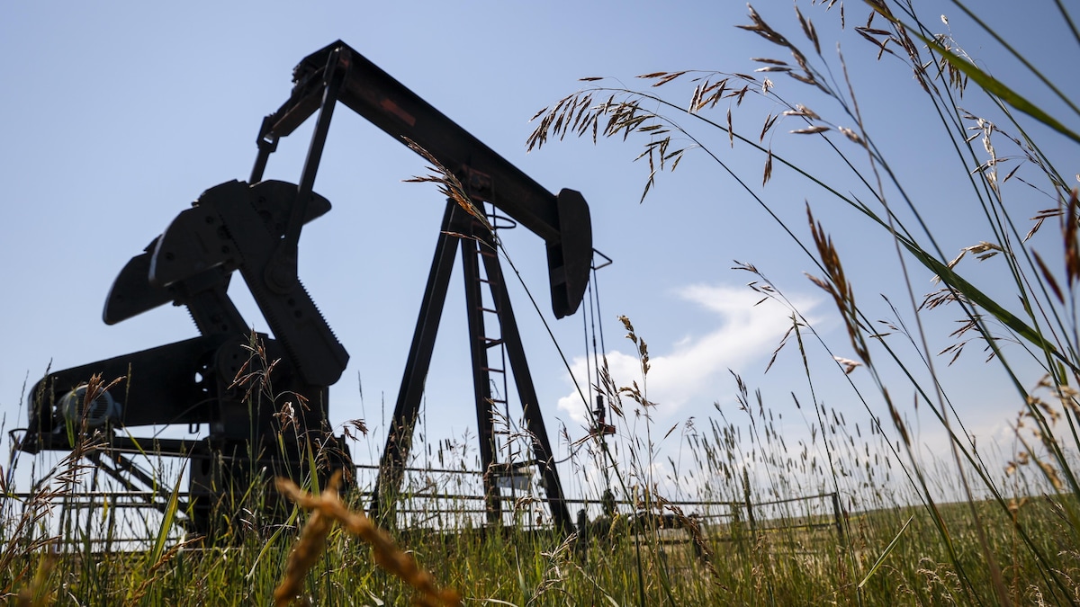 Une pompe à pétrole dans un champ près de Cremona, en Alberta, le 29 juillet 2022. 