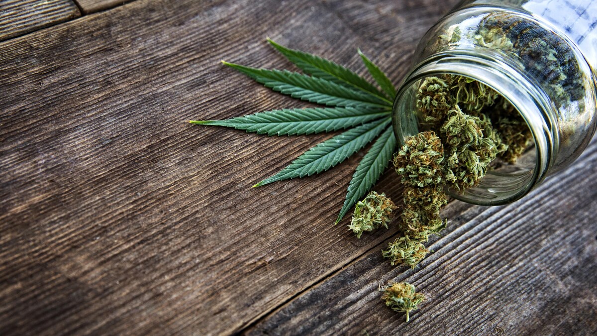 Pot de cannabis versé sur une table en bois.