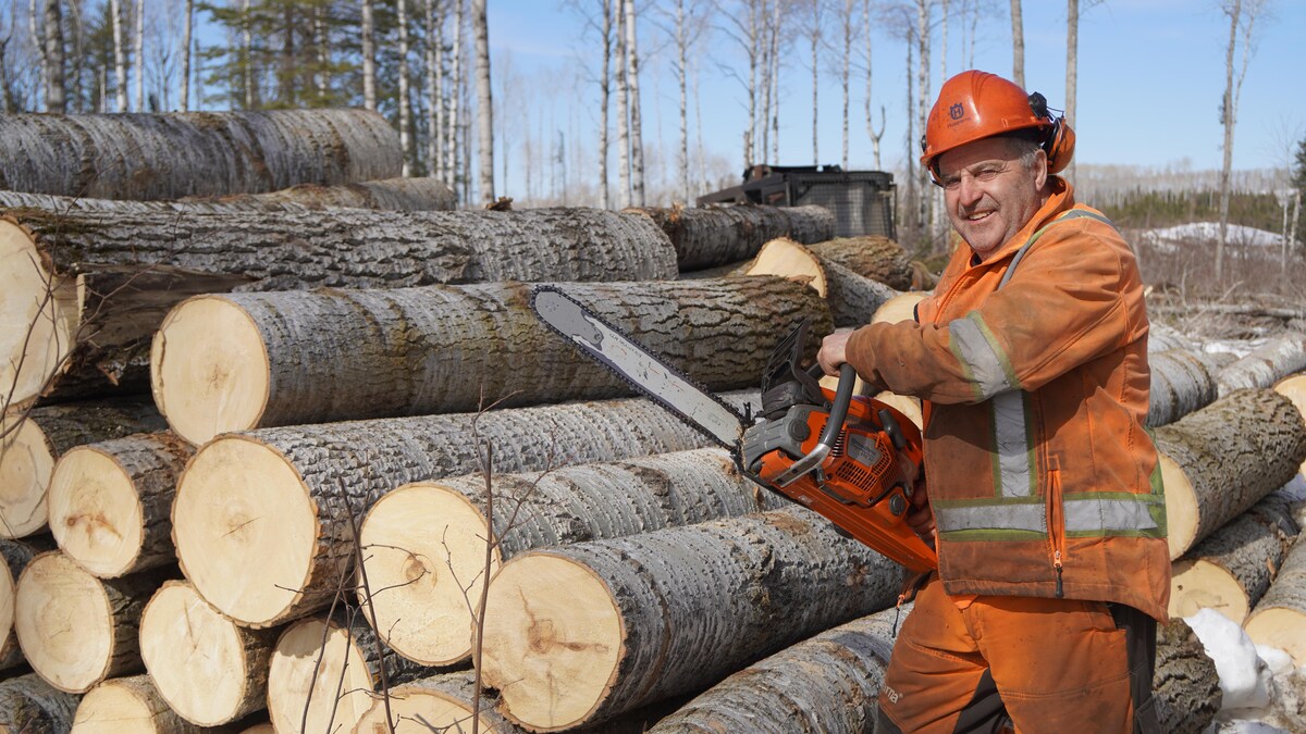 Un homme et sa scie à chaîne devant une pile de tremble.