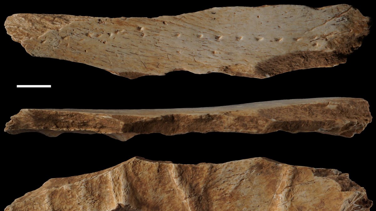 Quatre plans de la planche à découper le cuir fabriquée à partir d'un fragment d'os de grand mammifère.