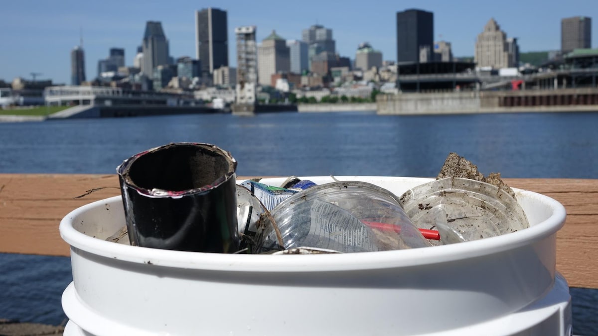 Des déchets recueillis sur les berges du fleuve Saint-Laurent, à Montréal.