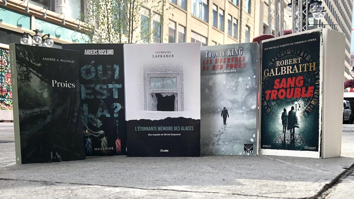 Les cinq livres sont debout côte à côte sur un trottoir.