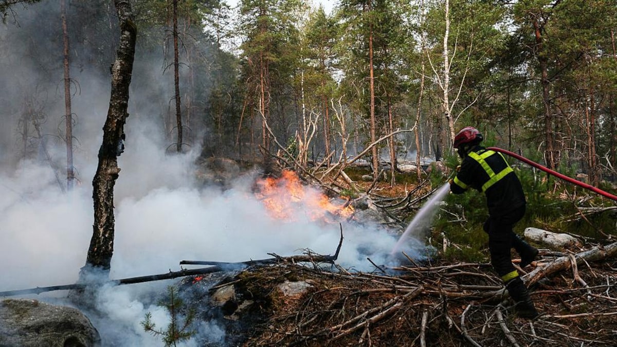 Dans une forêt, un pompier arrose des branches en feu au sol avec un gros boyau appuyé sur son épaule.