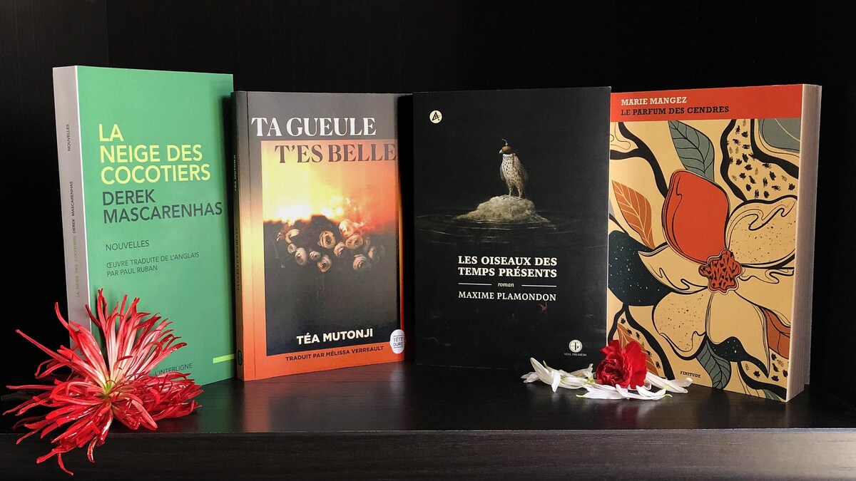 Les quatre livres se tiennent côte à côte sur une tablette de bois foncé.