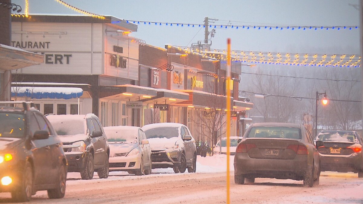 La promenade Papineau