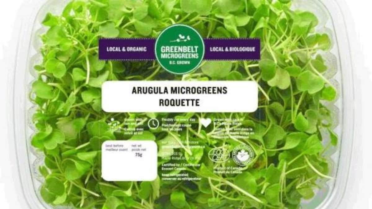 Rappel d'huîtres possiblement contaminées par la salmonelle