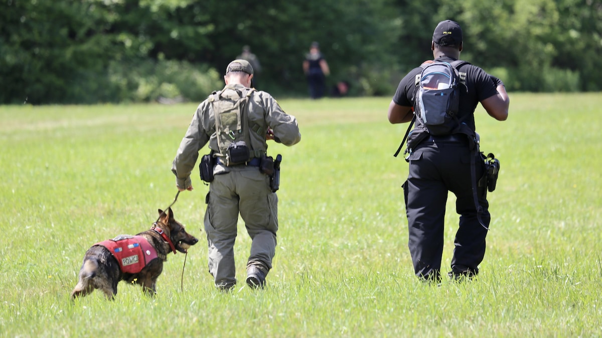 Deux policiers de dos, avec un chien, marchent dans un champ.