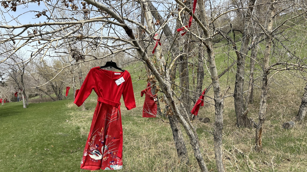 Une robe rouge accrochée à un arbre.
