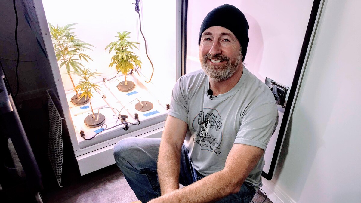 Rodney Wilson devant ses quatre plants de cannabis.