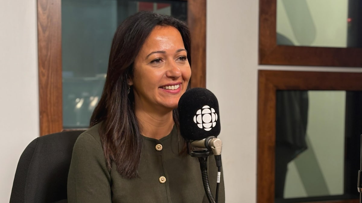 Ce que Québec solidaire propose aux électeurs de l’Abitibi-Témiscamingue