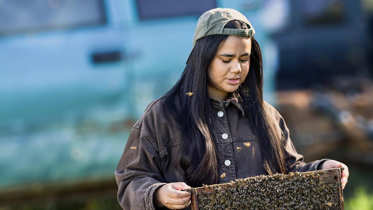 La fratrie Forest reprend le Rucher des framboisiers
