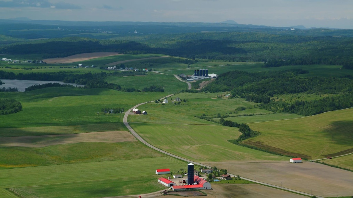 Une vue aérienne d'un chemin qui traverse des terres agricoles.
