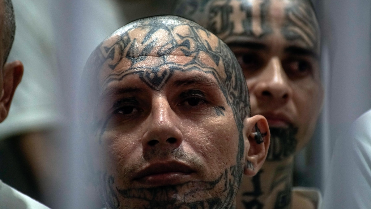 Gros plan d'un prisonnier dont tout le visage est tatoué.