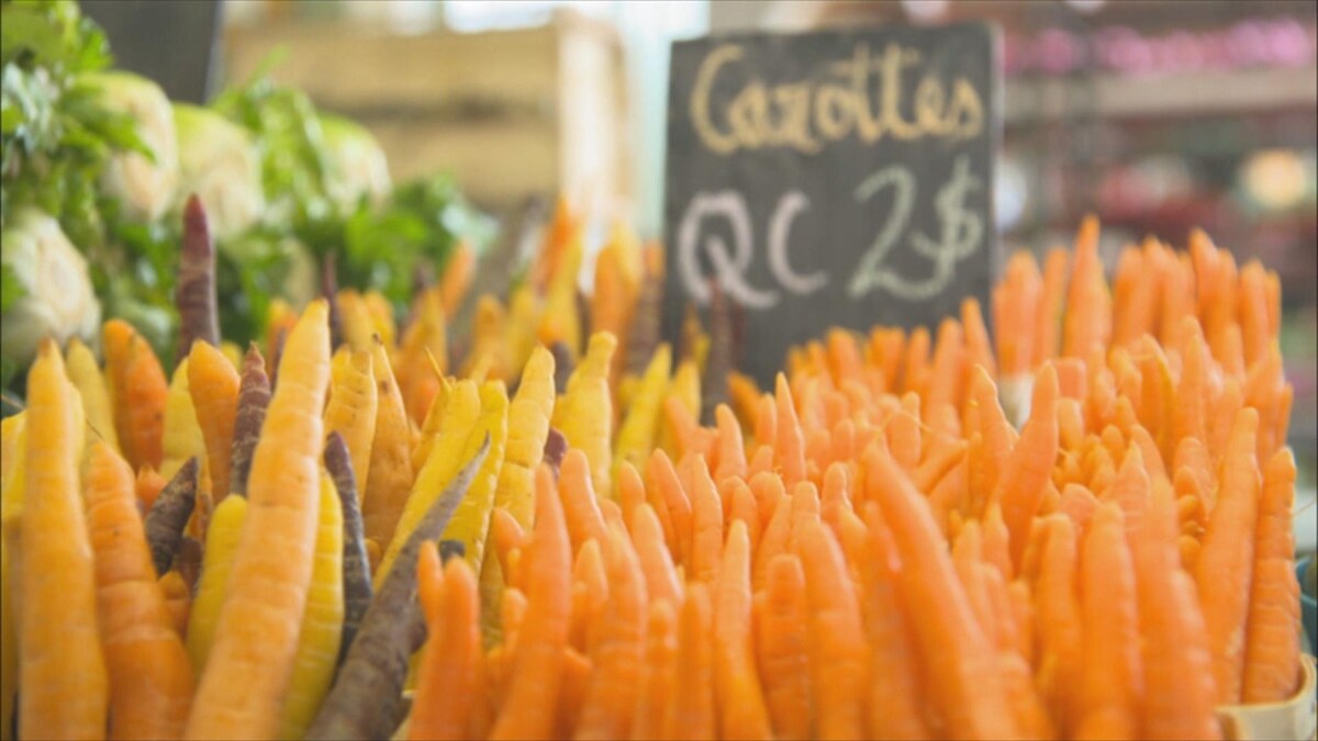 Un étalage de carottes du Québec dans un marché public.