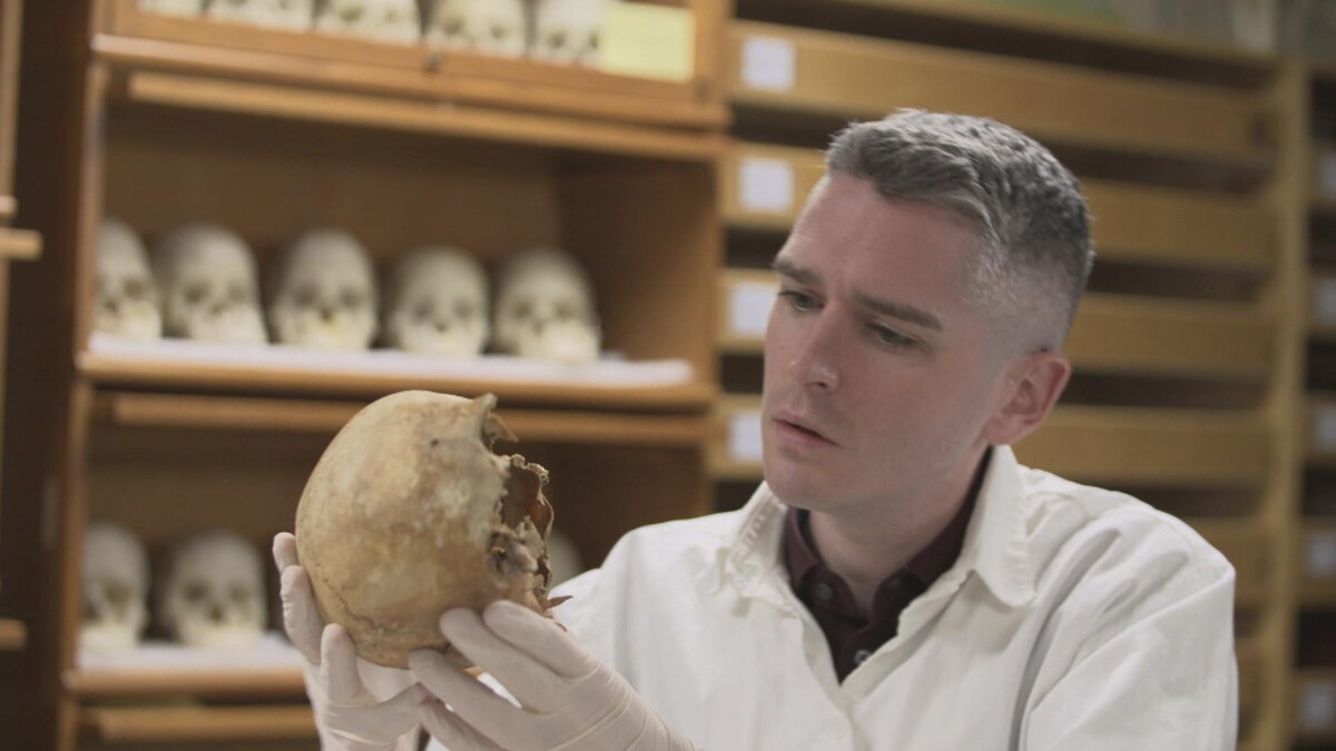Gros plan d'un chercheur regardant un crâne.