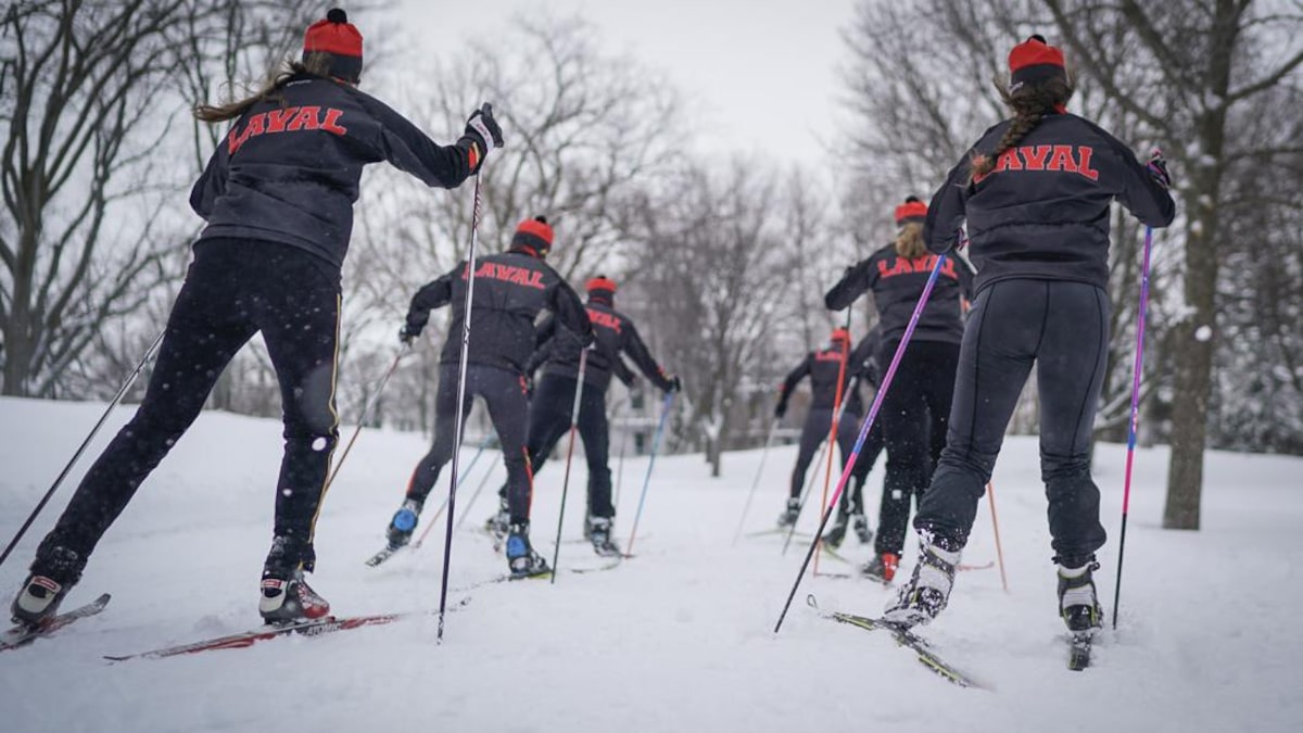 De dos, des fondeurs skient en groupe avec des manteaux du Rouge et Or. 