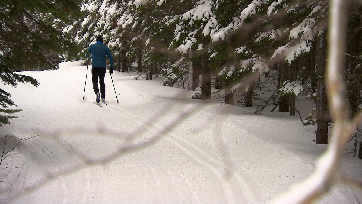 Un homme fait du ski de fond sur un sentier enneigé entouré de conifères. 