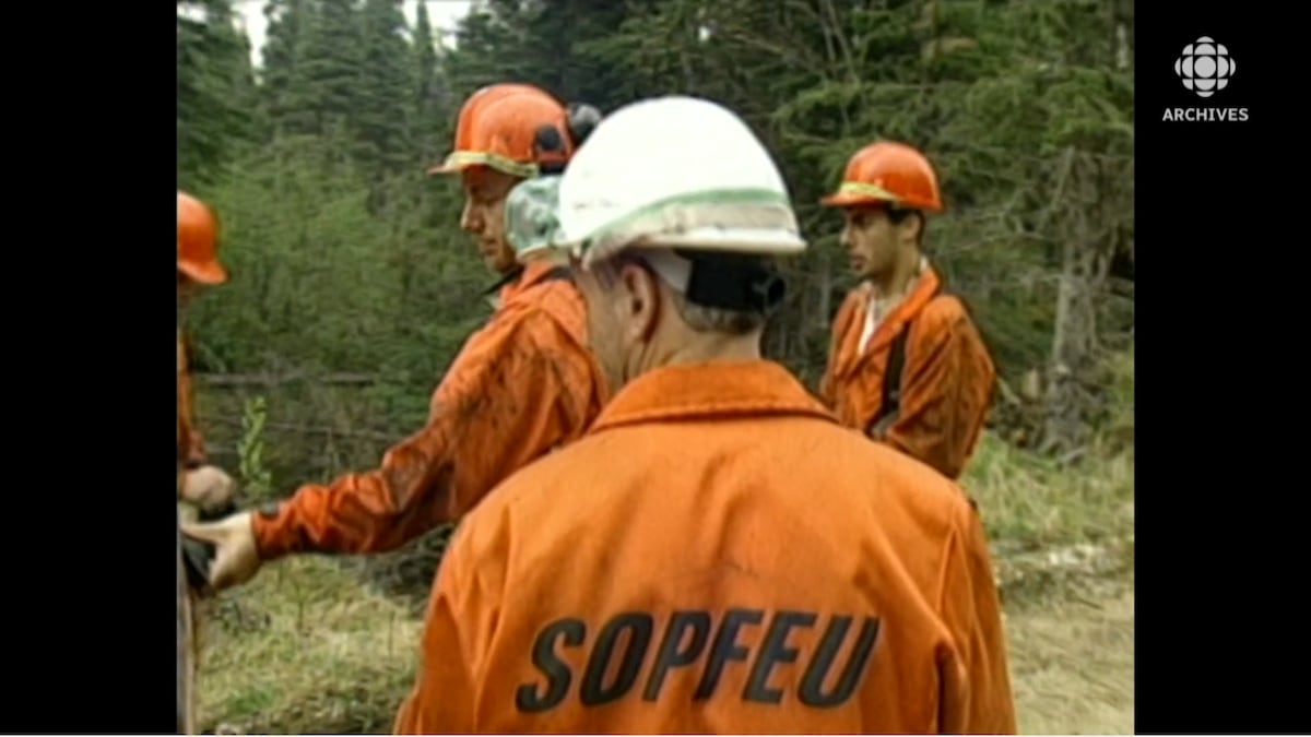 Groupe de pompiers en forêt, en combinaisons orange. Un pompier vus de dos avec l'inscription SOPFEU sur sa combinaison. 