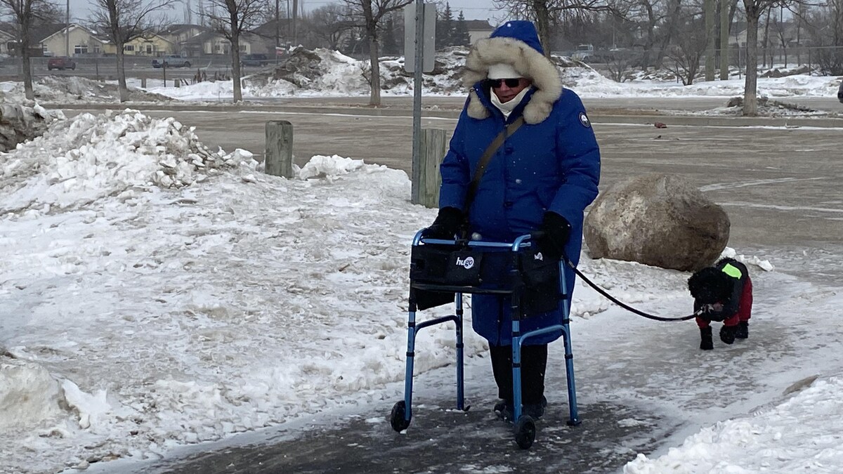 Une personne se promène avec son chien sur un sentier glacé entre le stationnement et le début du Parc Kilcona à Winnipeg. 