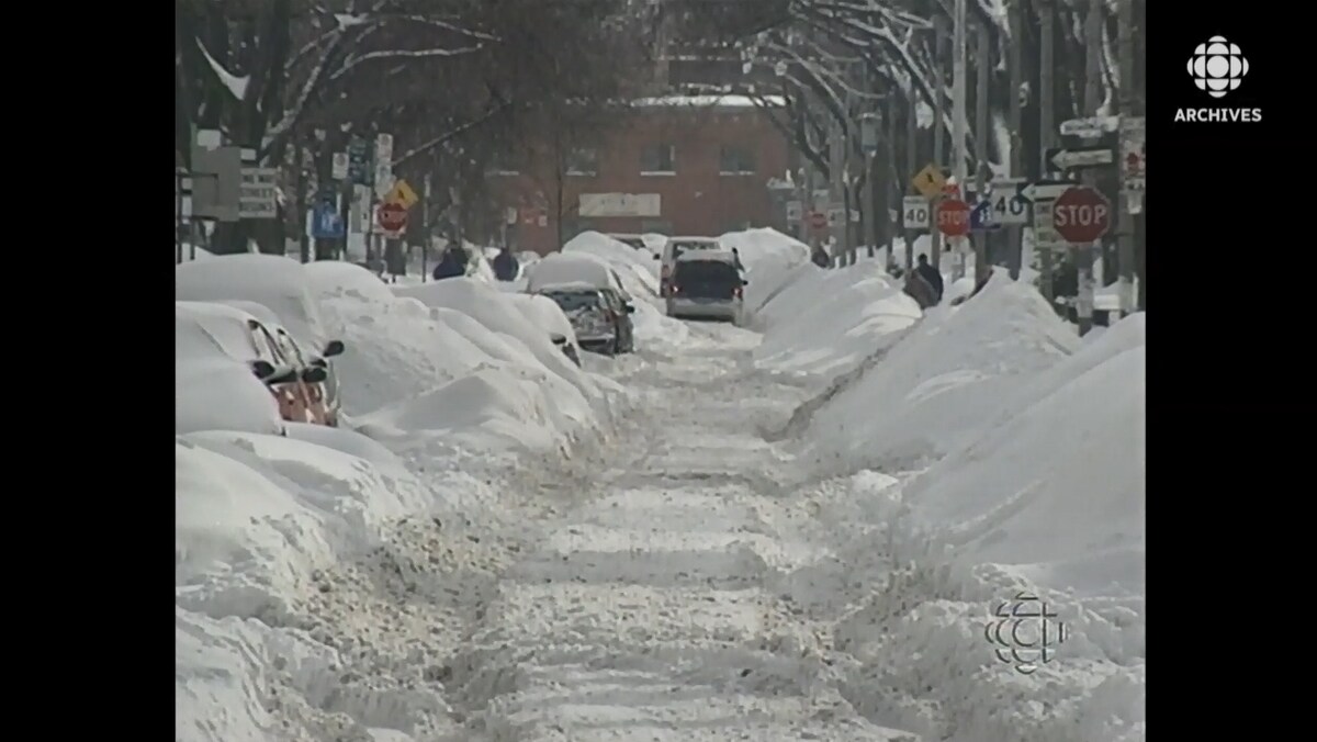 Bancs de neige et voitures ensevelies sous la neige aux abords d'une avenue résidentielle de Toronto qui n'a pas pu être déblayée.