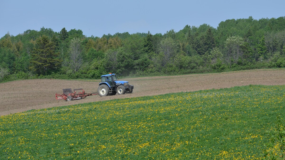 Un tracteur dans un champ qui semble sec.