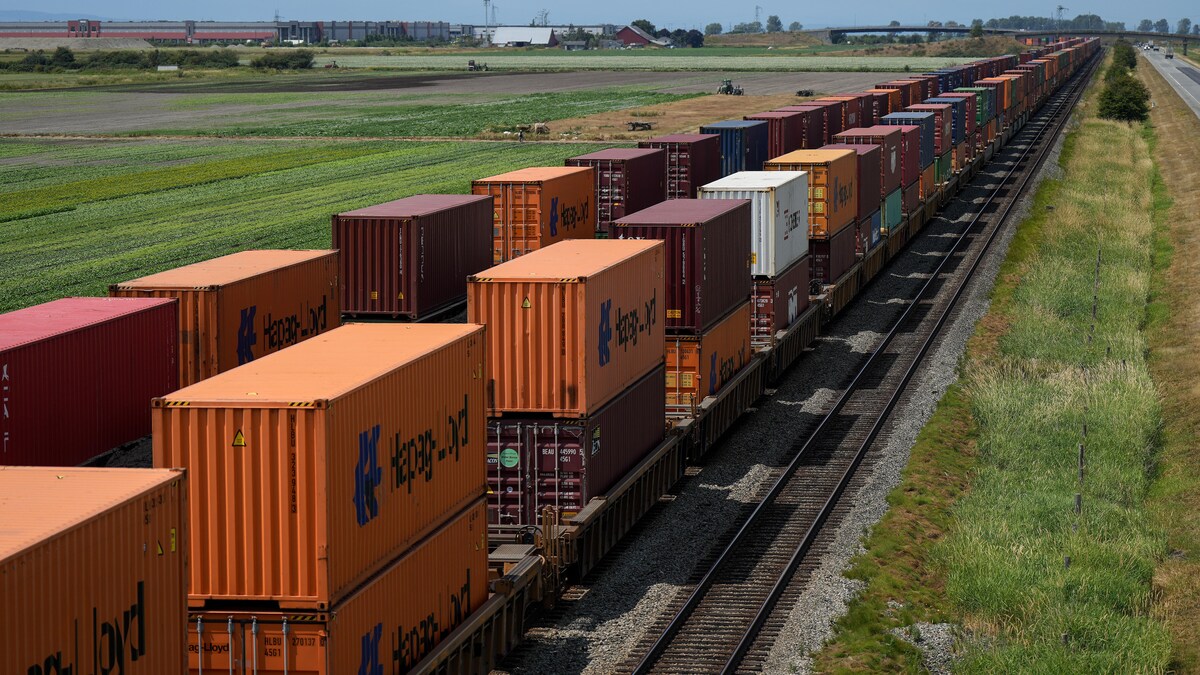 Un train de marchandises et ses innombrables wagons est à l'arrêt au milieu d'un champs à Delta, en Colombie-Britannique