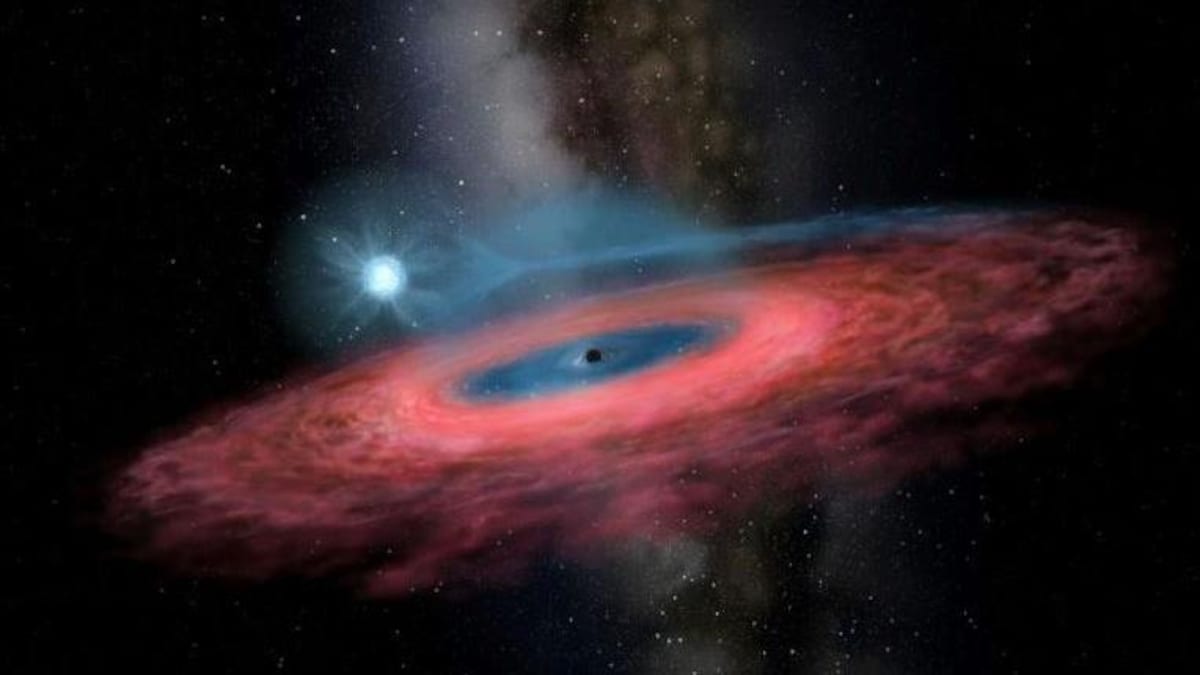 Illustration artistique du trou noir LB-1.