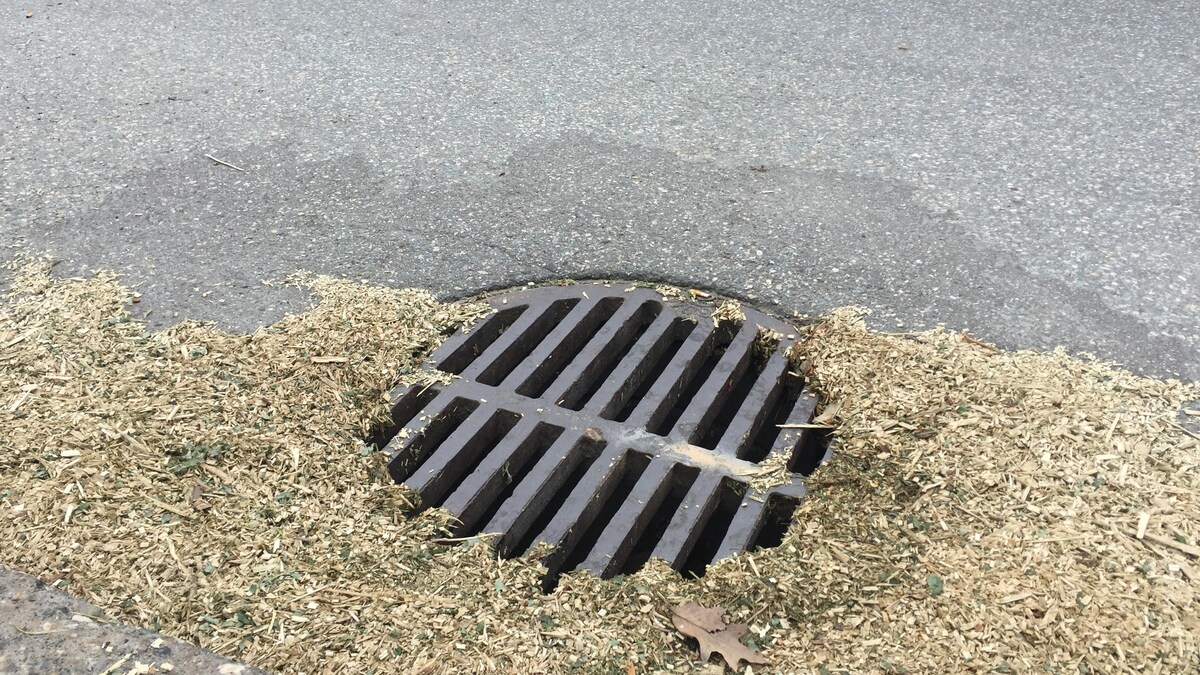 Un puisard entouré d'herbes sèches qui se sont accumulées dans la rue.