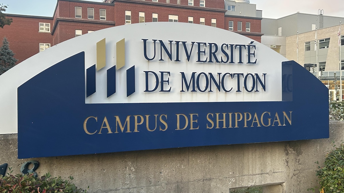 Les défis financiers des universités francophones en milieu minoritaire