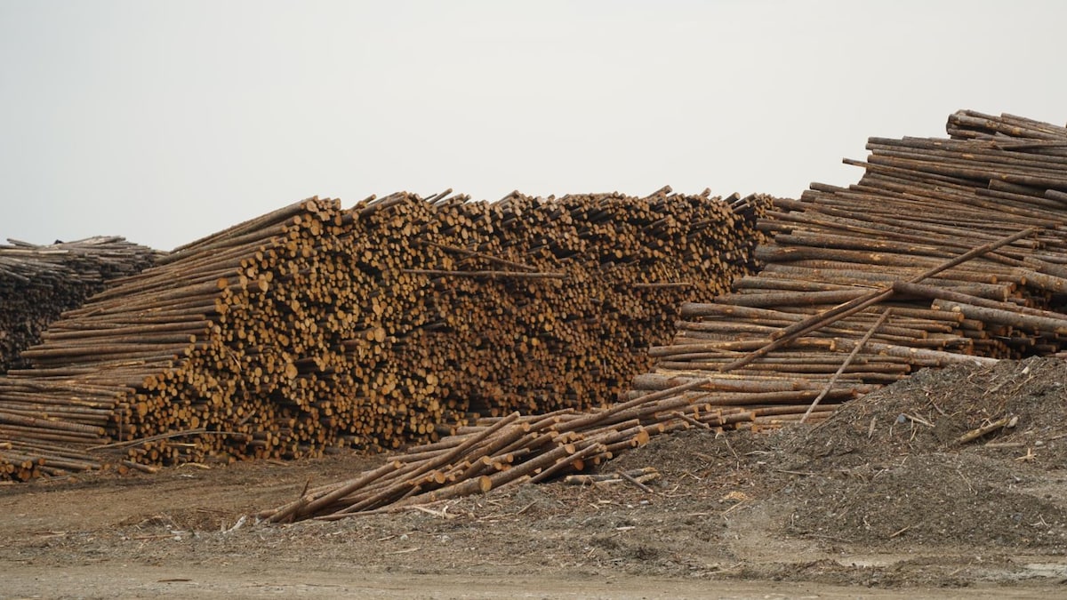Du bois dans un cours d'usine.