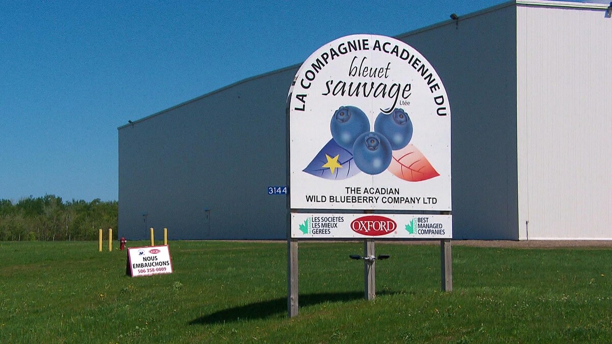 Une enseigne devant l'usine indique «La compagnie acadienne du bleuet sauvage».