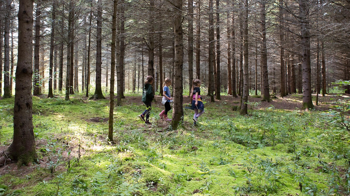 Trois fillettes courent dans la forêt. 