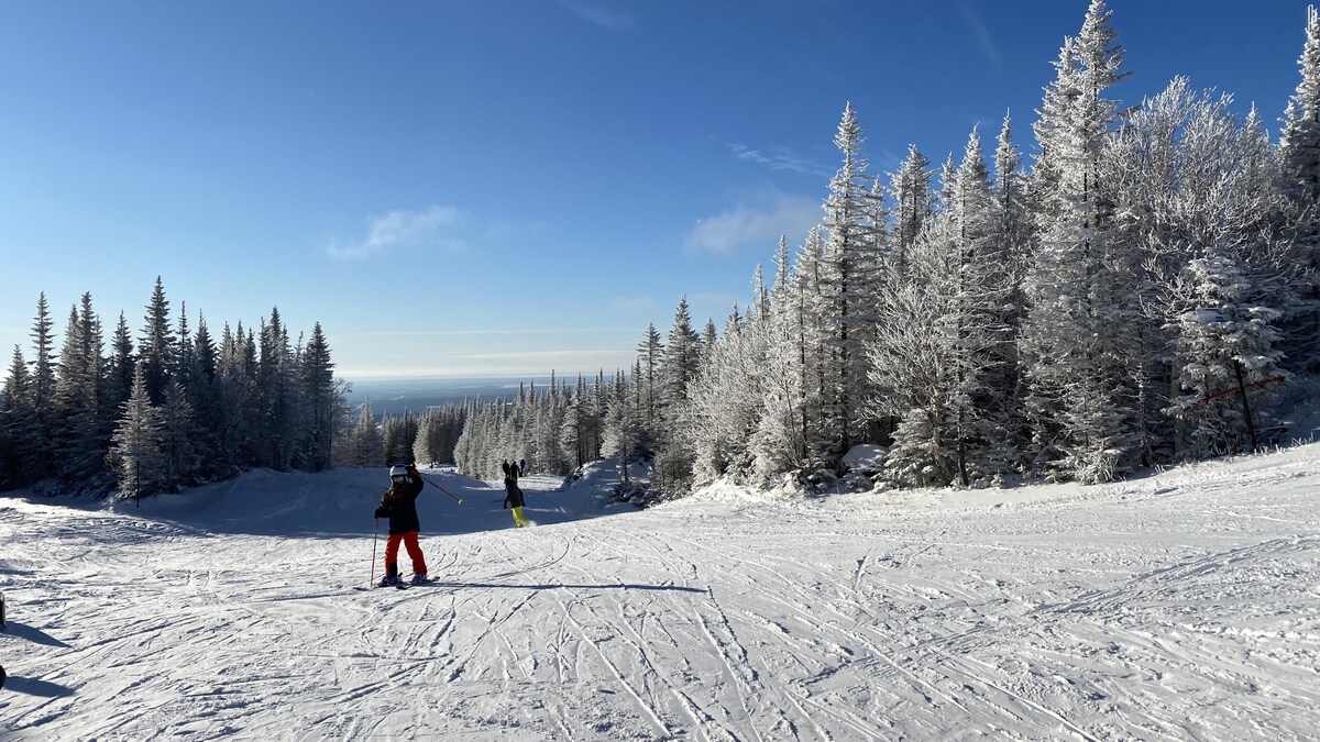 Des skieurs en haut en des Monts-Valin.