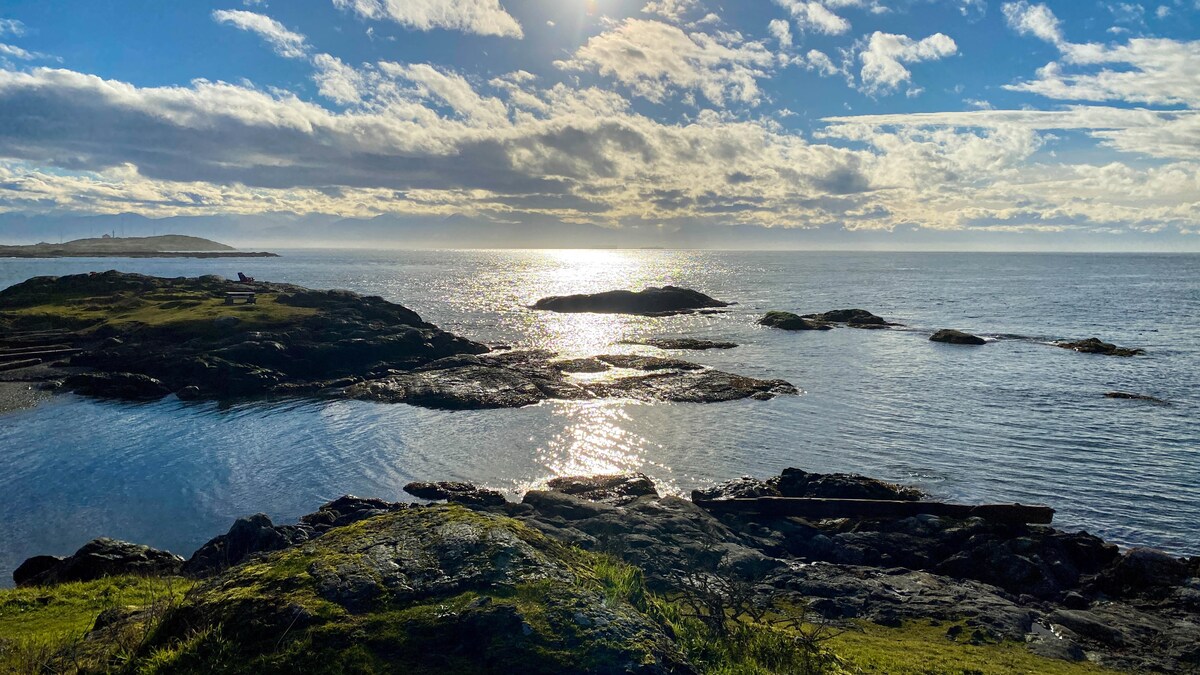Paysage au bord de l'océan, vu sur une île et le rivage.