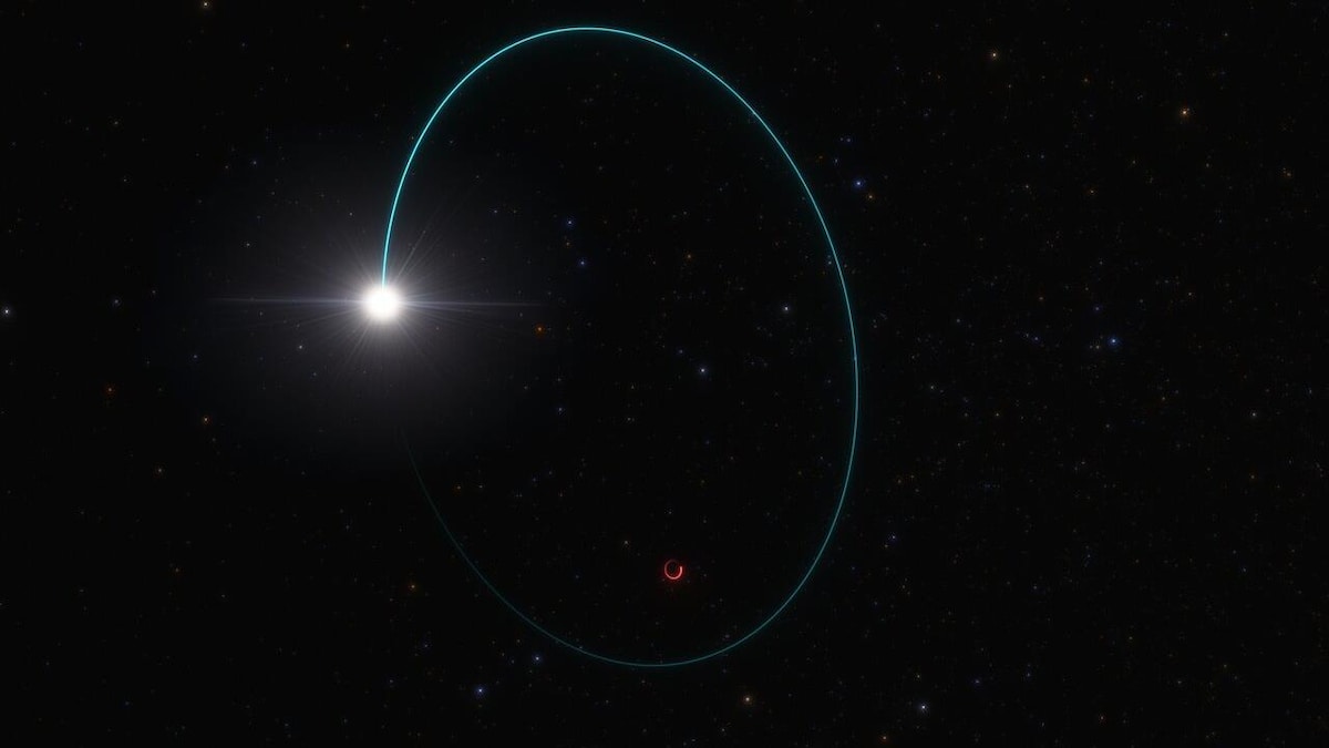 L'image montre une vue d'artiste d'une étoile massive, brillant d'une couleur blanche-jaune, en orbite autour d'un trou noir stellaire. 