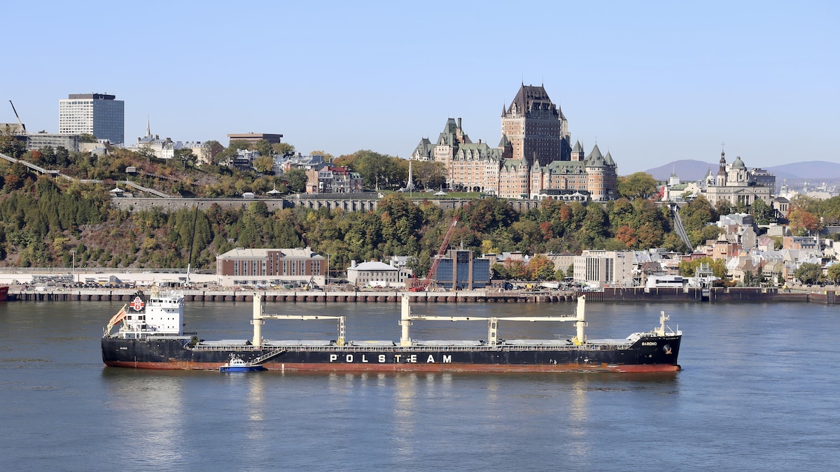 Un paquebot passe sur le fleuve devant le centre-ville de Québec.