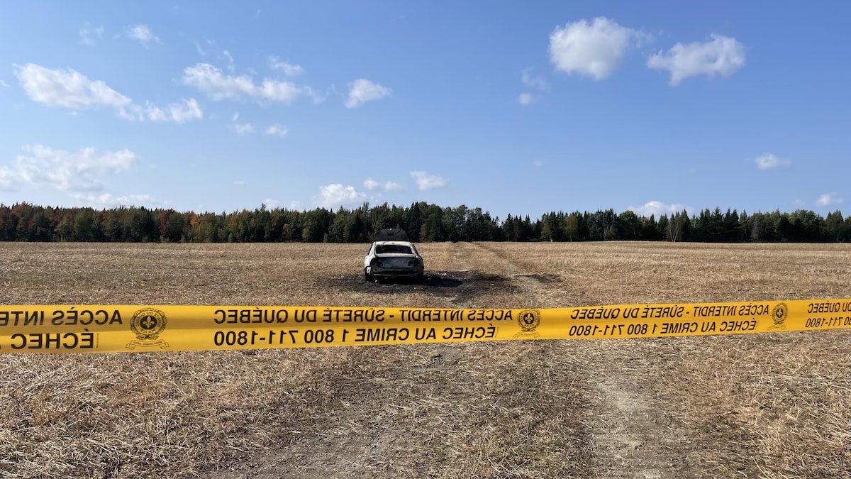 Guerre des stupéfiants : des gangs qui sortent de Montréal | Le téléjournal avec Patrice Roy