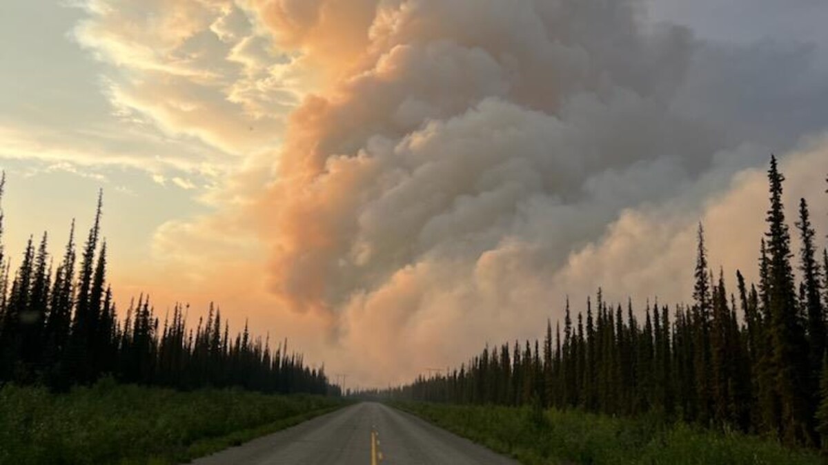 Une route s'enfonce dans une épaisse fumée causée par les incendies.