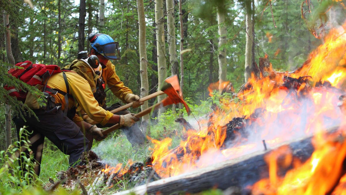 Deux pompiers avec des hâches tentent de stopper un feu dans une forêt.