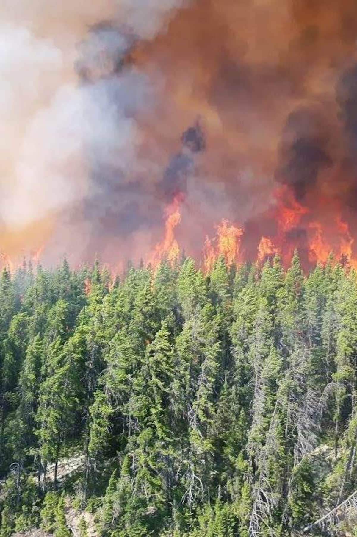 Feux de forêt : une saison dans la moyenne en Abitibi mais hors normes pour la Baie James
