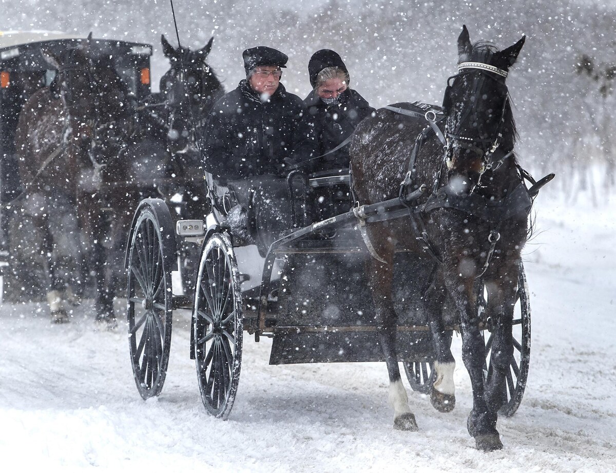 Deux carrioles noires tirées par des chevaux bruns foncés se suivent sur une route enneigée, pendant un blizzard.