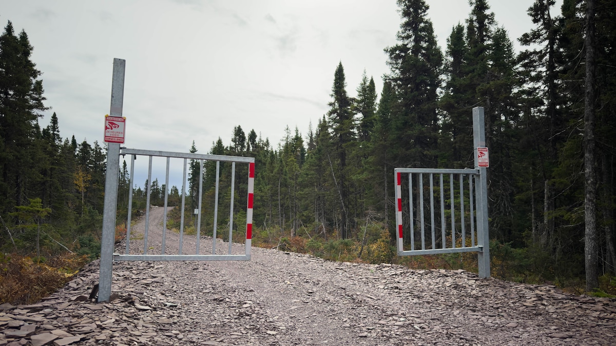 Regards sur l’accès aux forêts publiques en période de chasse