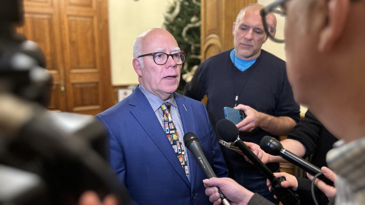 C’est parti pour la course à la chefferie du Parti vert du N.-B.